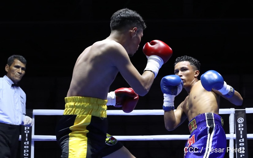 BOXEO1